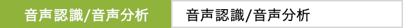 音声認識/音声分析