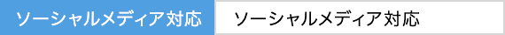 ソーシャルメディア対応